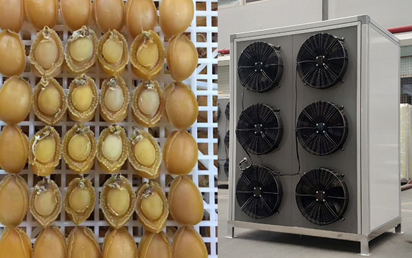 鮑魚(yú)烘干機(jī)_海產(chǎn)品脫水_鮑魚(yú)除濕干燥